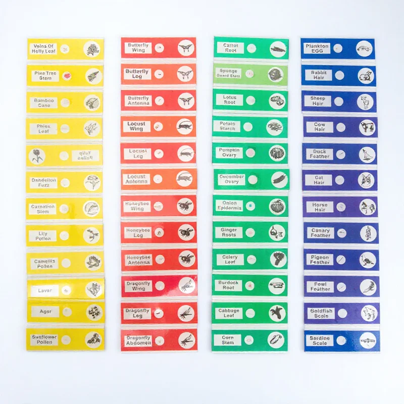 48Pcs Biological Specimen Prepared Microscope Slides for Entry- Students Learning English Label Insects Sample Slide