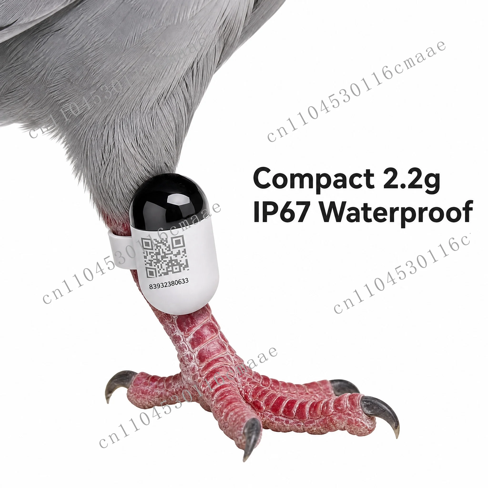 Multi-species telemetry device 2.2g Universal quick-change IP67 for multi-purpose birds