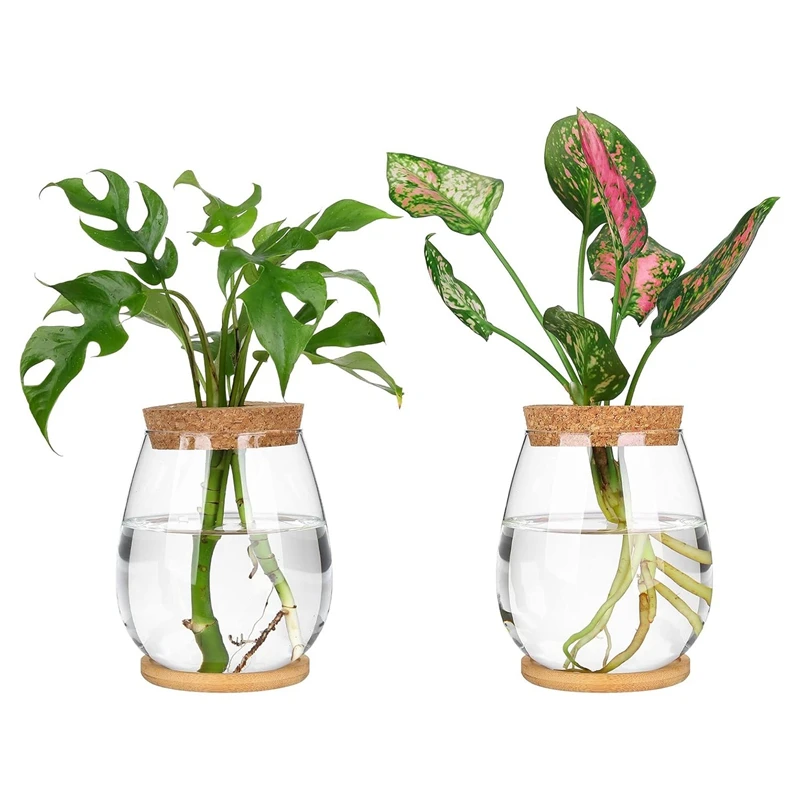 

2 Pcs Separated Desktop Plant Terrarium Set With Wooden Tray & Lid For Propagating Hydroponic