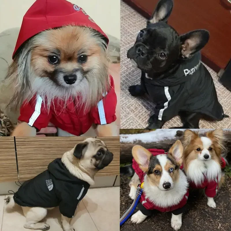 The Dog Face Clothes Winter Coat Puppy Jacket Hoodie Warm Reflective Waterproof  For Small Medium Mascotas Outdoor