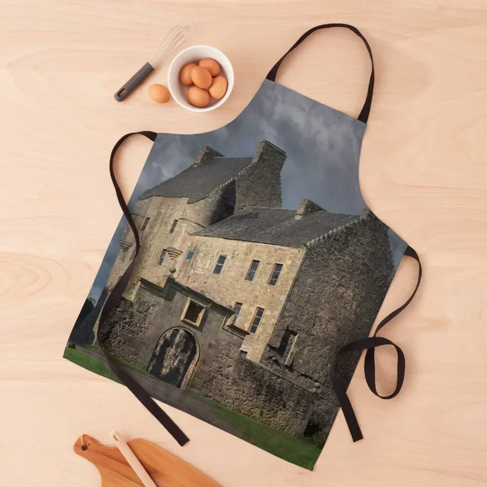 

Lallybroch Apron useful gadgets for home cook wear waterproof for women cooks clothes Apron