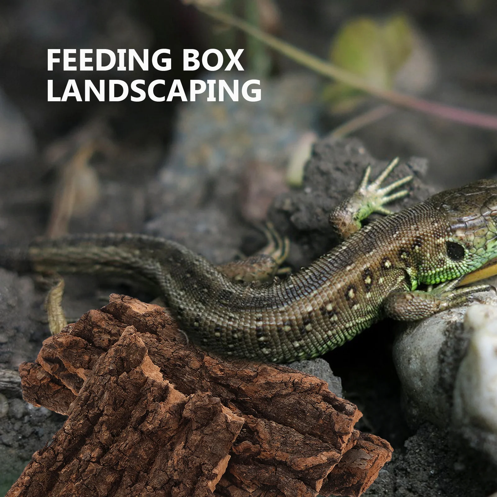 

4Pcs Reptile Feeding Box Decor Eco-Friendly Climb Platform Natural Pine Bark for Lizard Dragon Tortoise Tank Landscaping Supply