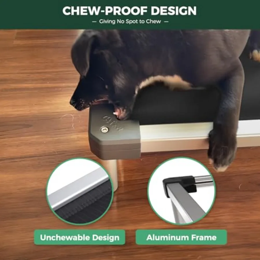 Chew-Proof Elevated Dog Bed 4