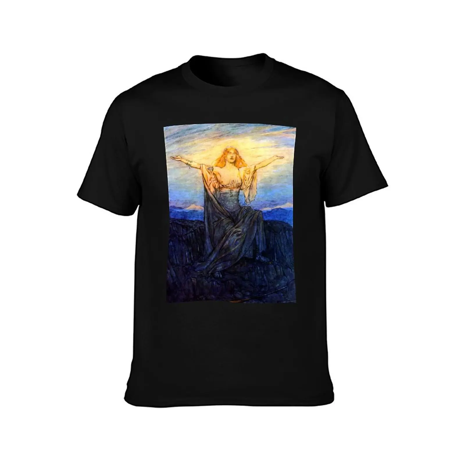 Greeting the Sun - Siegfried and the Twilight of the Gods - Arthur Rackham T-Shirt Non-Shrink Basic Cotton T-Shirt