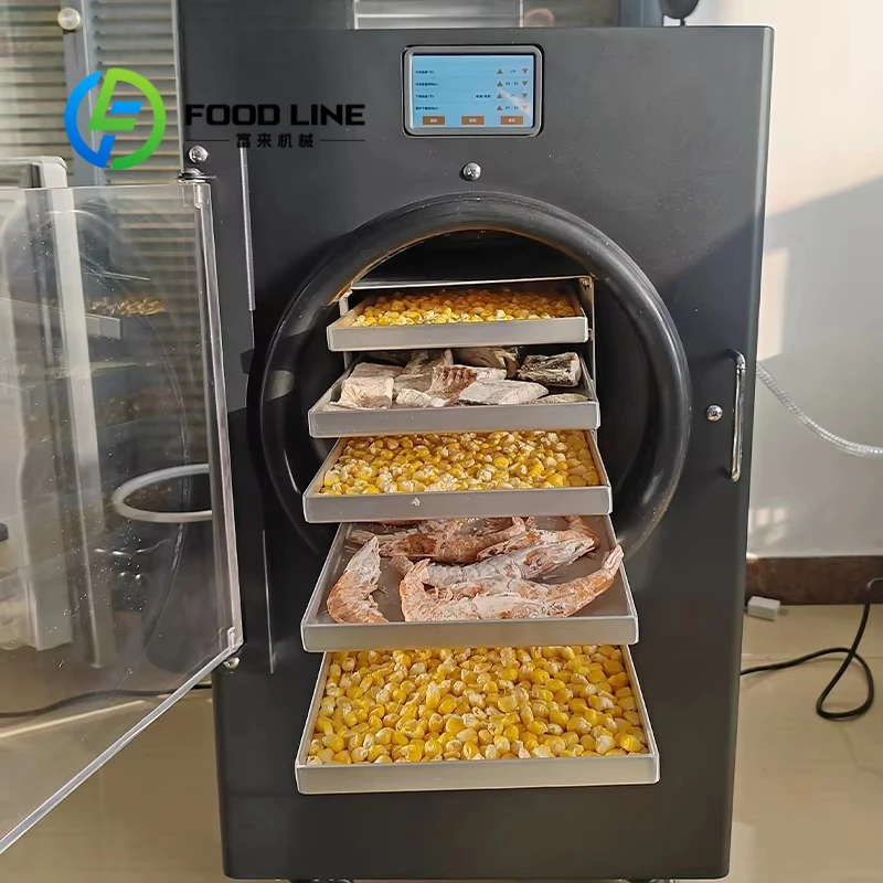 competitive prices freeze drying, vacuum freeze dryer with reduced pressure and sublimation, energy saving Customized