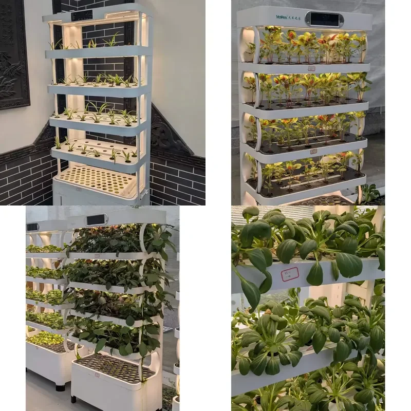 Eco Intelligent Hydroponic Growing System | Household Smart Planter with LED & Nutrient Control