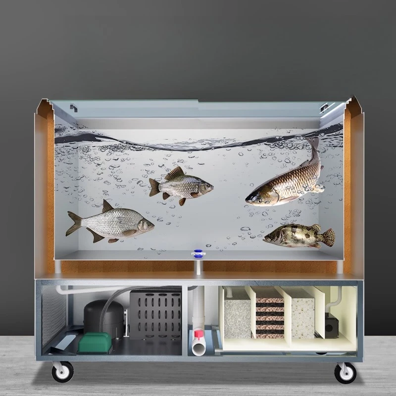 

Freezer fish farming refrigerator freshwater seawater filtration cycle oxygenation