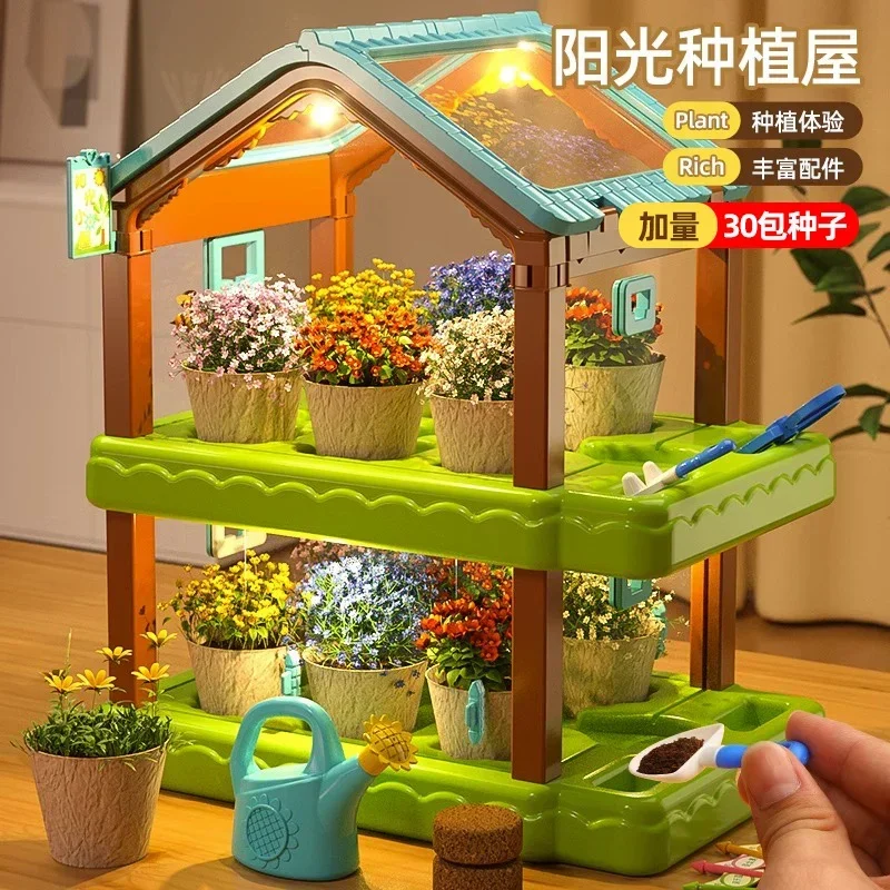 

Sun room planting children's science small experiment set planting vegetables plant observation toys girl birthday gift handmade