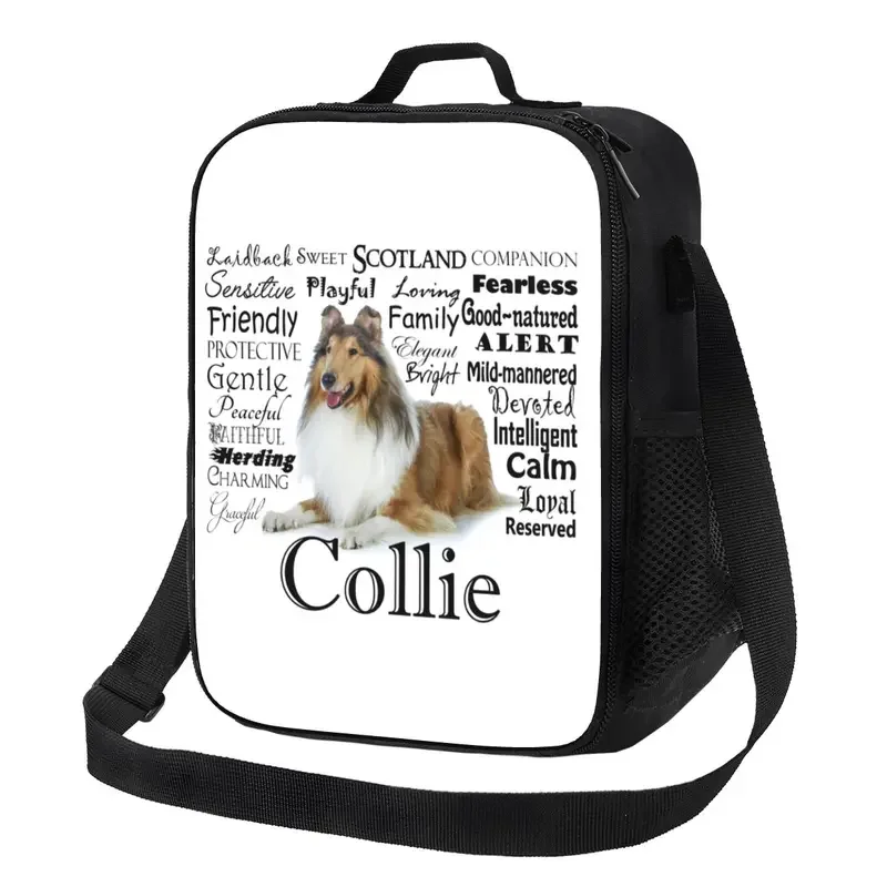 

Pet Collie Dog Traits Insulated Lunch Bag for Women Animal Cooler Thermal Lunch Box Beach Camping Travel