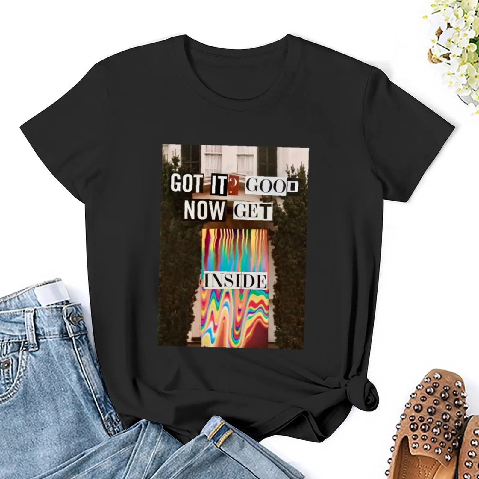Got it Good Now Get Inside T-Shirt graphics animal print shirt for girls cute tops black t-shirts for Women