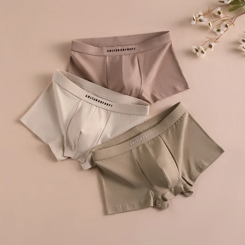 3PCS Sports Boxer Man Breathable Gift Sporty Boxers Men's Square Panties Sexy Men Unerderwear Underpants Briefs Shorts Underwear