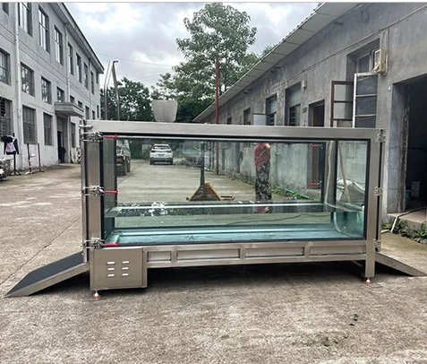 

Dog Training Equipment Water Treadmill Dogs Hydrotherapy Pet Training Rehabilitation Underwater Treadmill