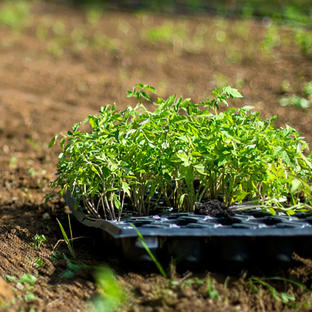 

10PCS Seedling Trays for Indoor Cell Starter Kit Sprouter Tray Healthy Growth Resistant Crack Starter Kit Impact