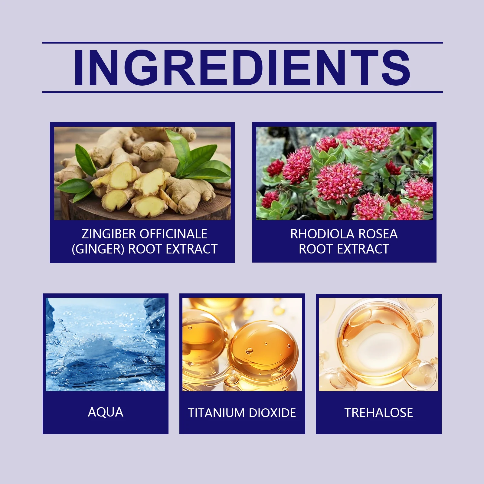 EELHOPE ハイドレーティング クッション ファンデーション＆コンシーラー - 軽量で保湿力のあるメイクアップで均一な肌色、長時間持続