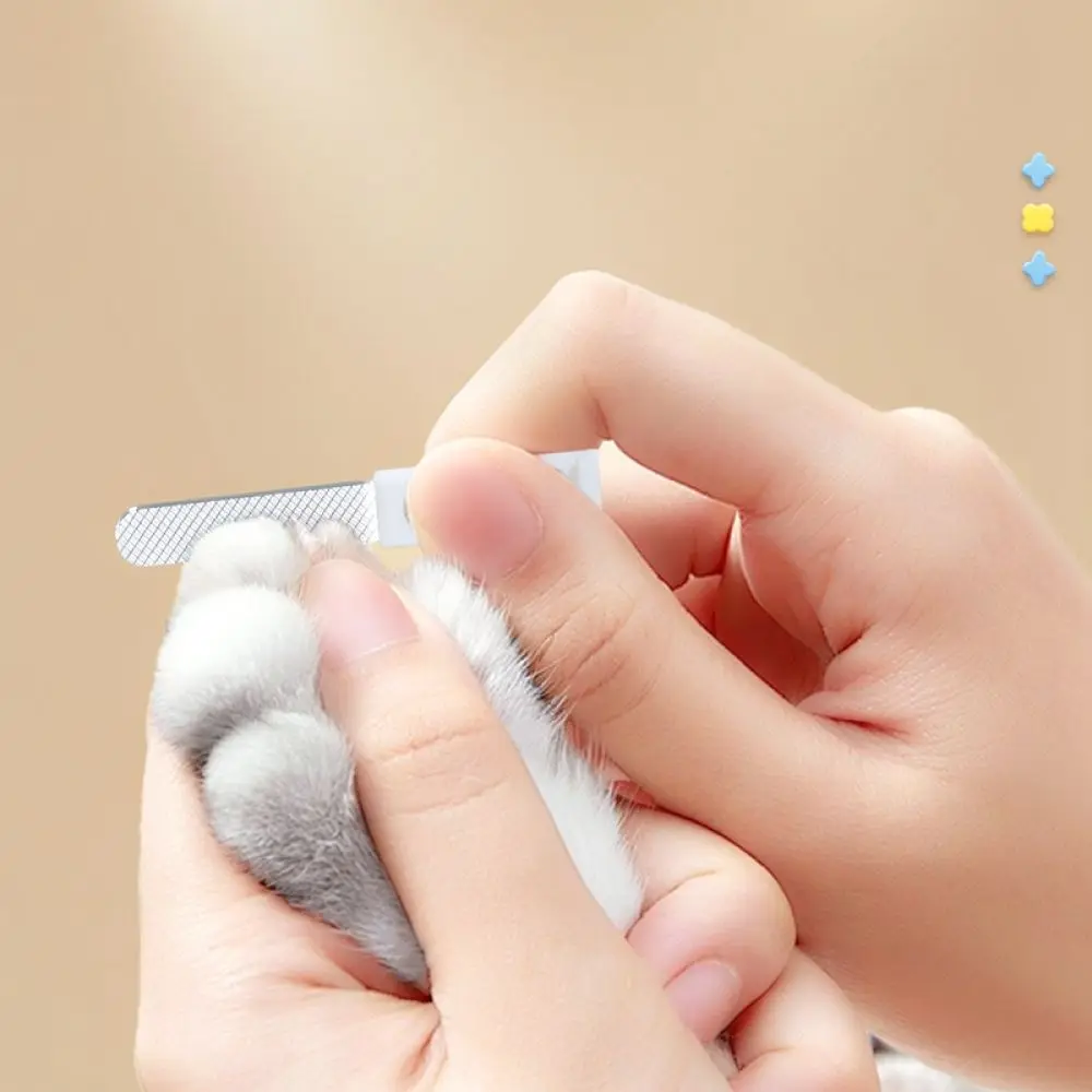 Dog Hair Brush Flea Comb Nail Clipper Set Pet Grooming Tools Puppy Fur Shedding Removal Care Cleaning Supplies
