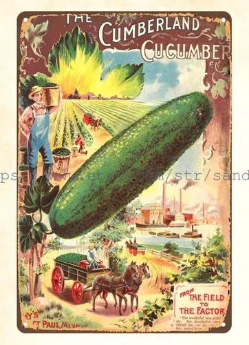 1890-1902 L.L. May & Co Cumberland Cucumber metal tin sign panel wall art