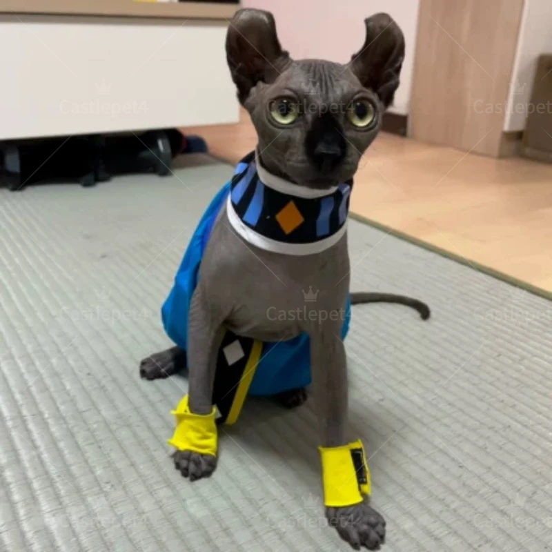 Handmade Sphinx Cosplay Cat Costumes Hairless Cat Clothes Cats Costumes Crotch-Proof Trousers Dropshipping Cat Clothes For Etsy