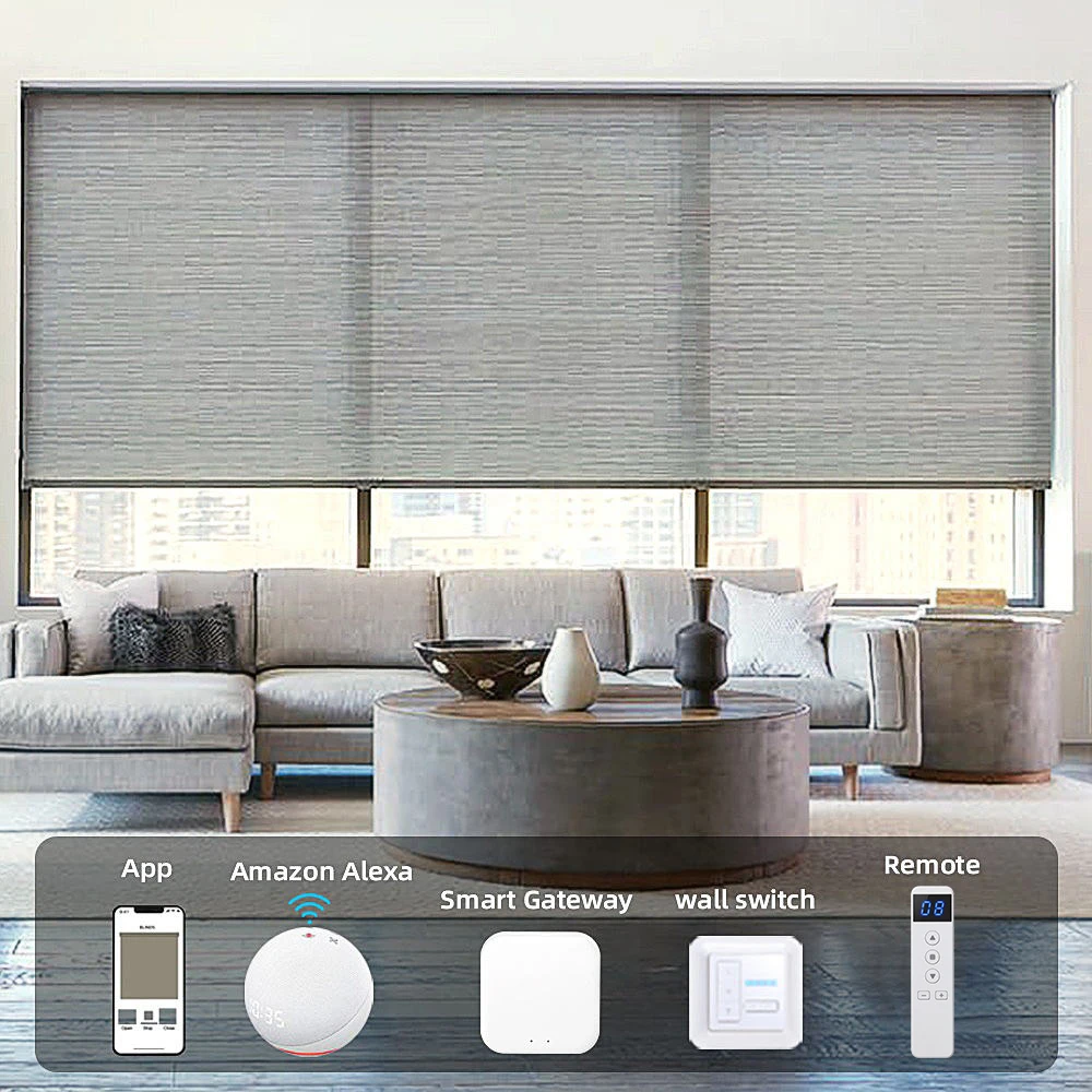 Motorized Rechargeable Remote Buy Roller Shades Cordless Home Smart Wifi Automatic Electric Roller Blinds For Window