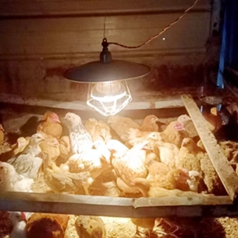 Heating lamp net cover set farm brooding heating lamp piglet warming bulb temperature adjustable heating lampshade