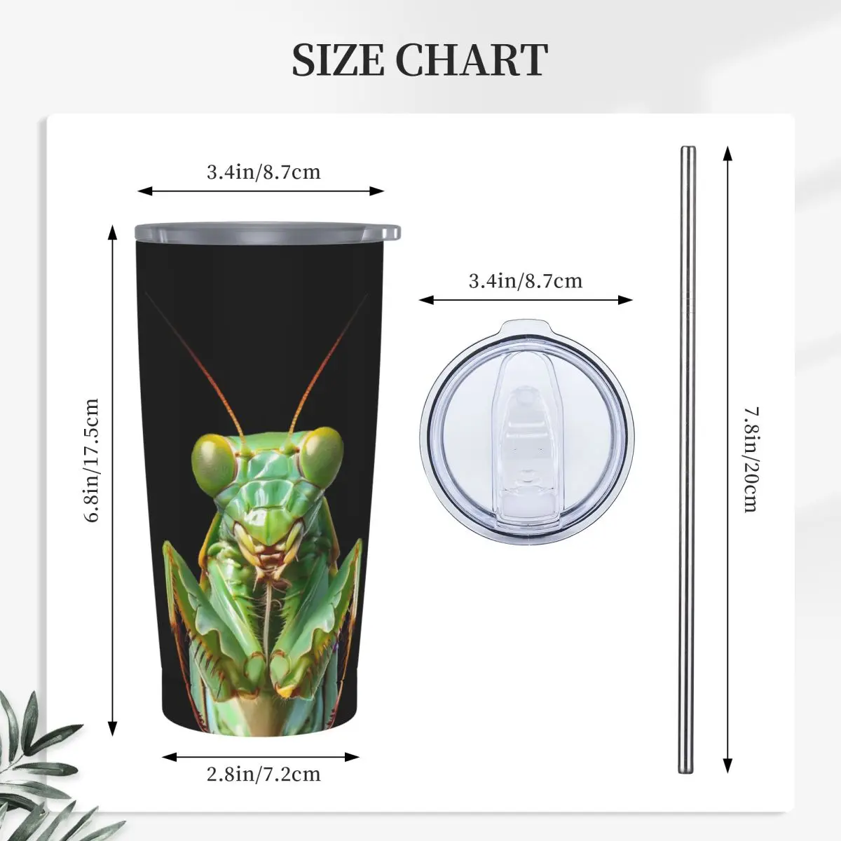Green Praying Mantis, Eerie Insect Art Stainless Steel Tumbler Vacuum Insulated Mugs Thermal Cold Cups Straws With Lid 20oz