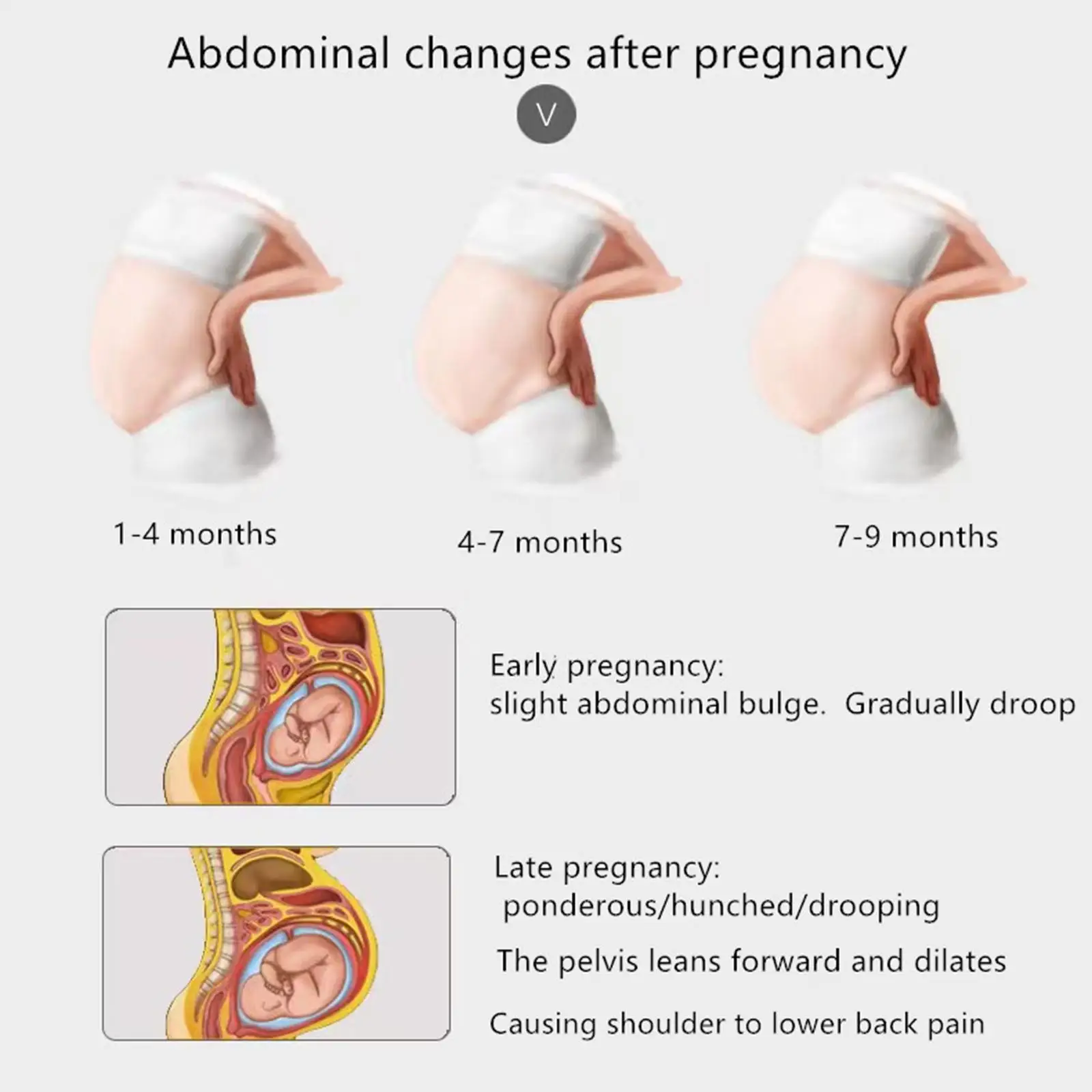 Pregnancy Belly Band Breathable Abdomen Waist Back Support Maternity Belt