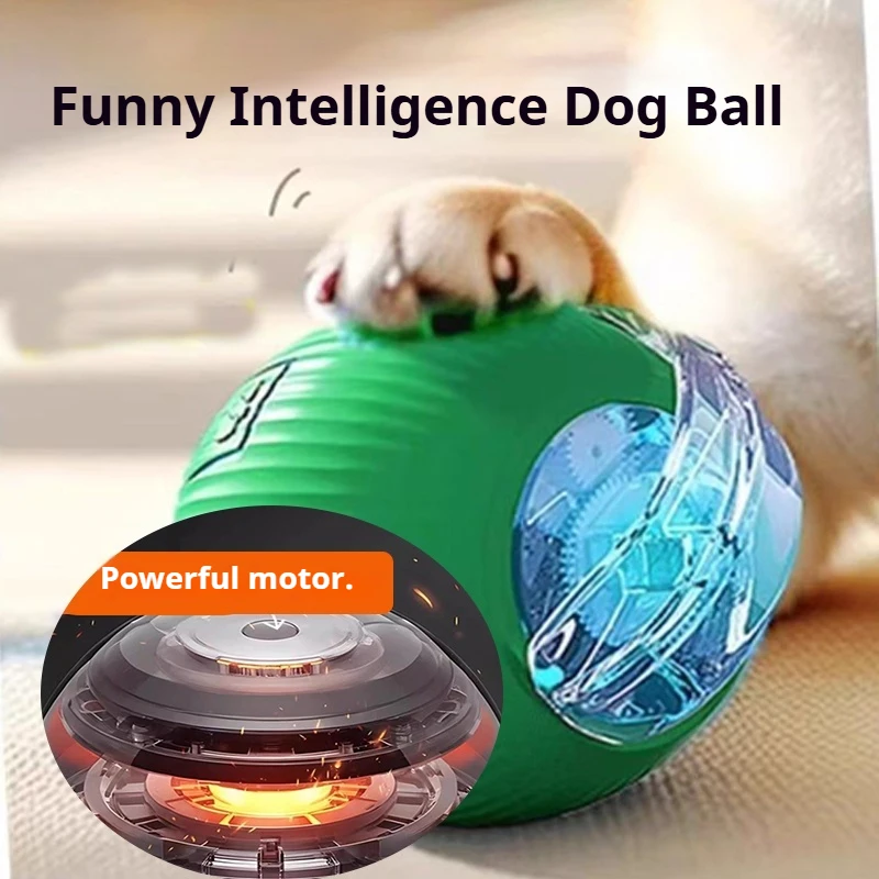Thumbnail 2 - #57 New Puppy Balls Arrivals