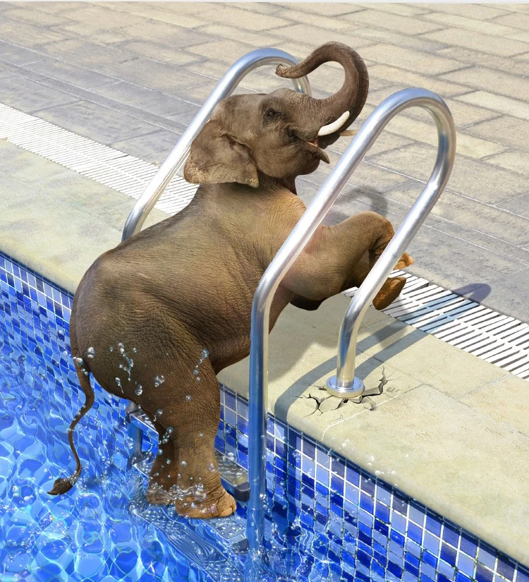 Factory Wholesale Cheap Price Stainless Steel 2-Step Embedded Swimming Pool Ladder