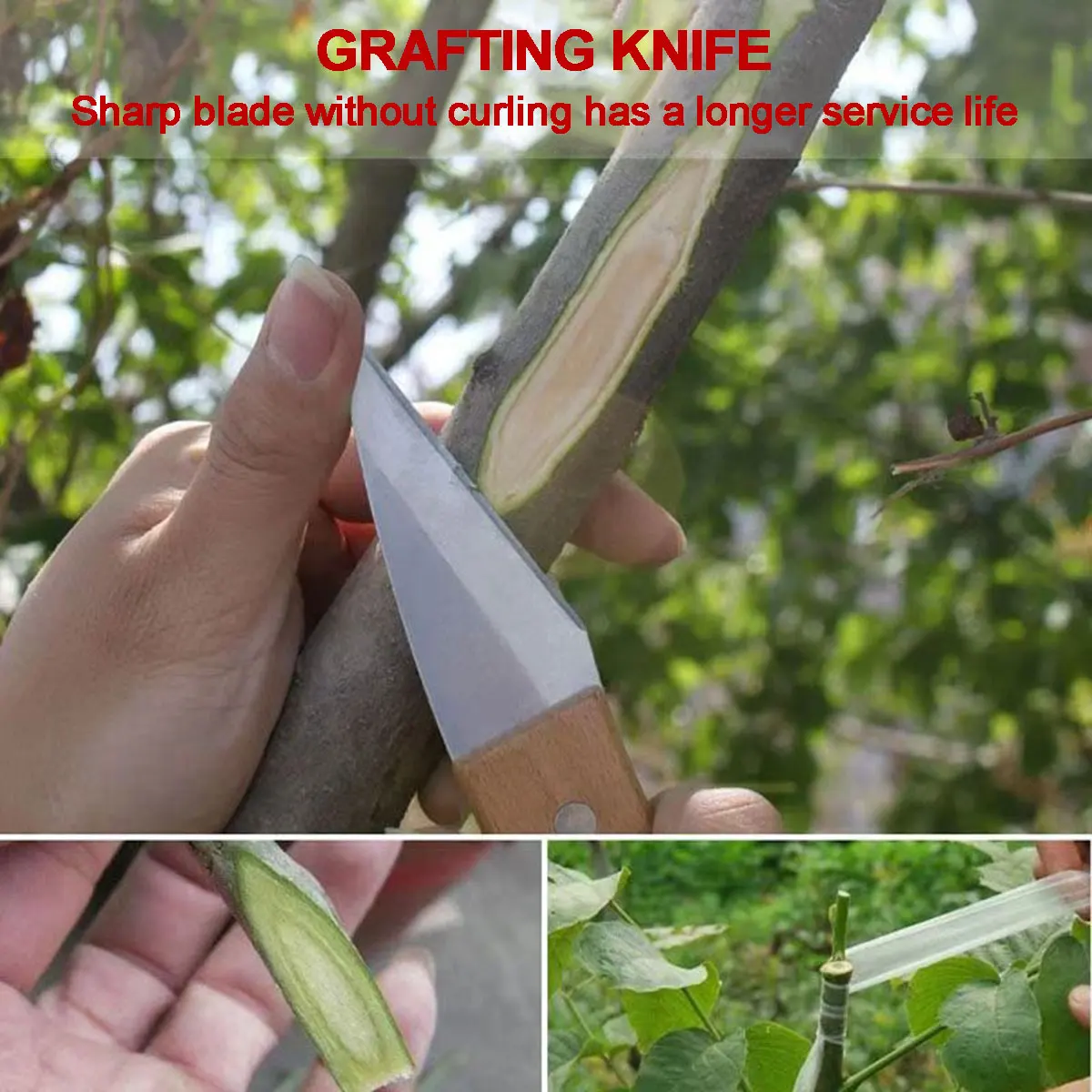 

Mini Front Steel Grafting Knife Budding Knife Garden Tool Multi-functional Knife Wood Grafting Tool