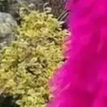 Vestido de festa fofo com manga em camadas, robe de malha, jaquetas femininas, casaco feito sob encomenda, vestidos maxi de tule, feminino, babados, rosa, multicamadas