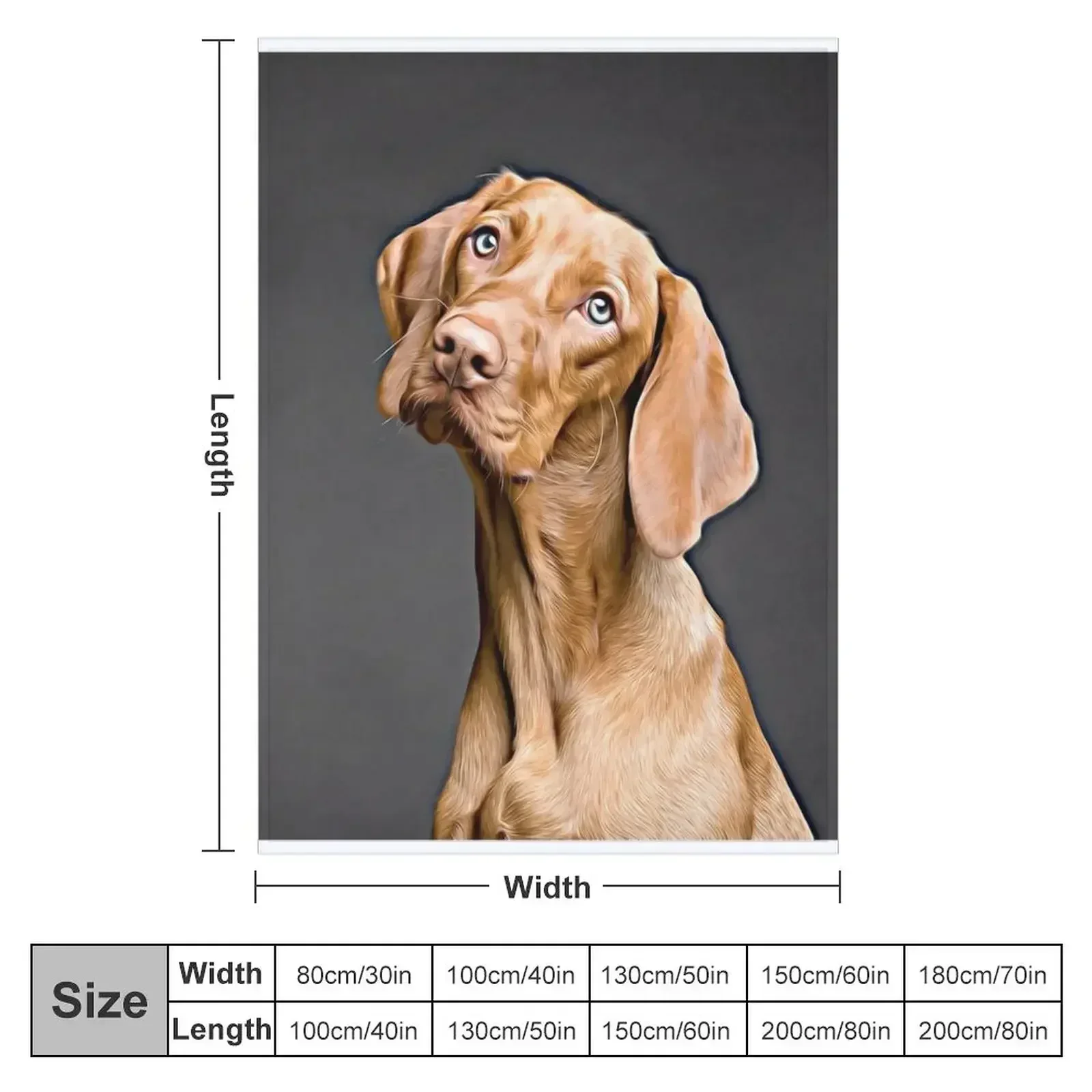 Vizsla Strikes A Pose Throw Blanket couch cozy soft plush fuzzy picnic outdoor blanket