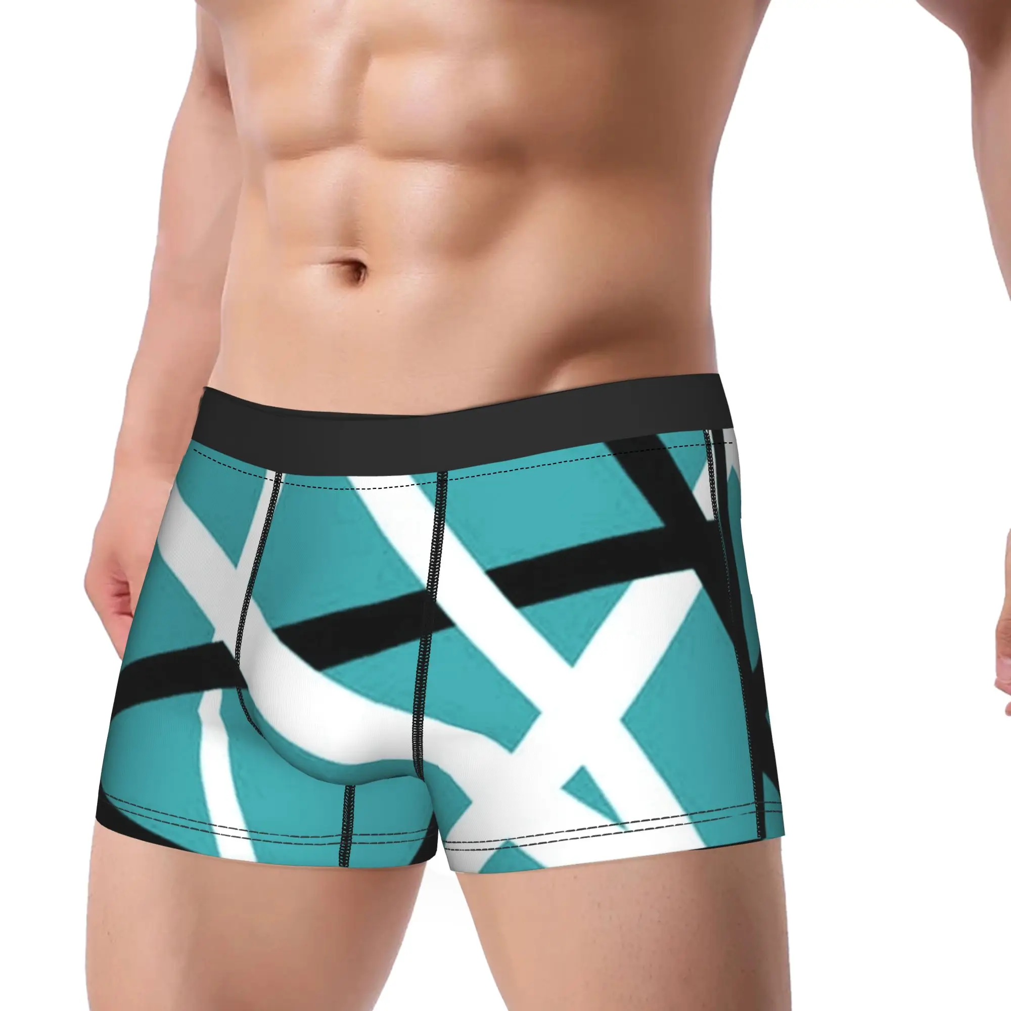 Van Halen Simple Blue Underwear  Breathable Underpants Custom Shorts Briefs For Men 3D Pouch Plus Size Boxershorts