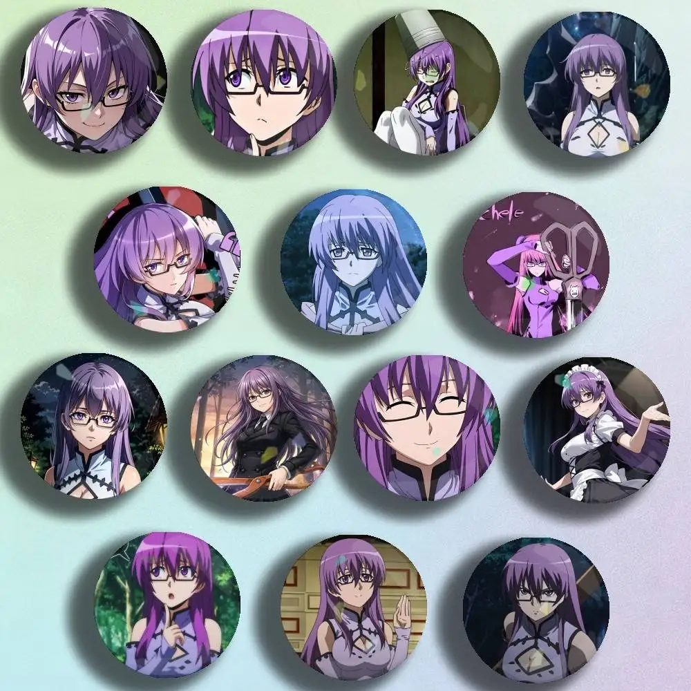 Akame ga KILL! Sheele Icon Badge Handmade Tinplate Brooch for Backpack Clothes Chest Ornament Gifts