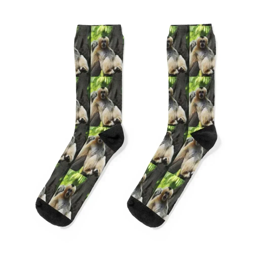 White-cheeked Gibbon (monkey) Socks shoes Stockings compression essential Stockings man Man Socks Women's