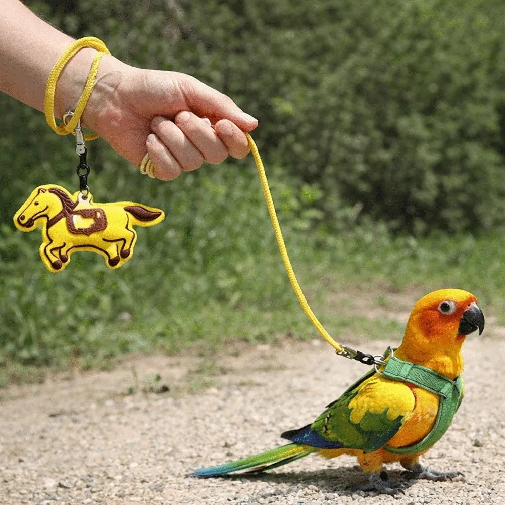Anti-Bite Bird Harness Leash Anti-flying Elastic Rope Parrot Traction Rope Lightweight Blessing Bird Training Rope Pet Training