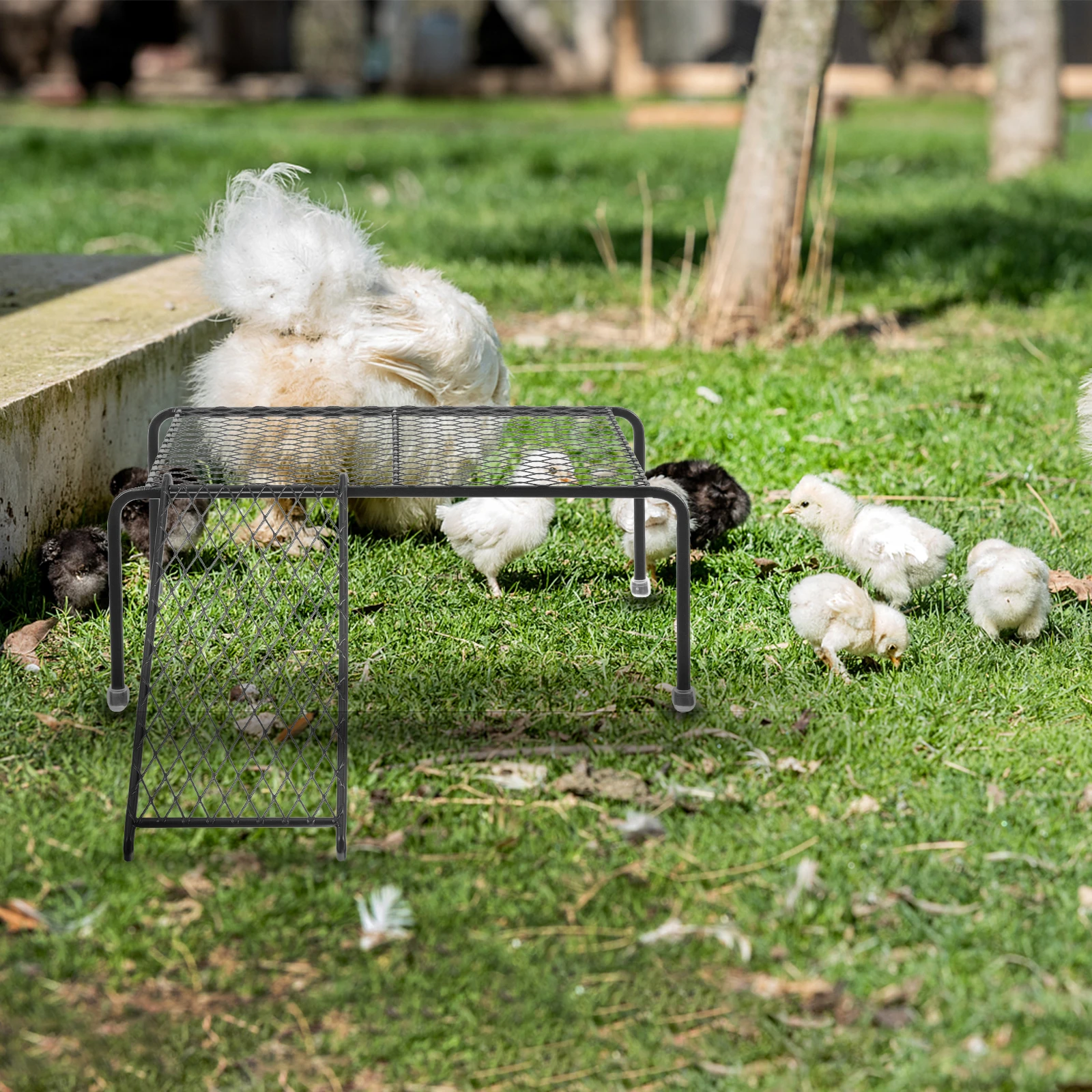 

1Set Pet Feeding Platform Mesh Shelf with Climbing Ladder Durable Hollow Metal Rack for Routine Chicken Coop Cage Supply