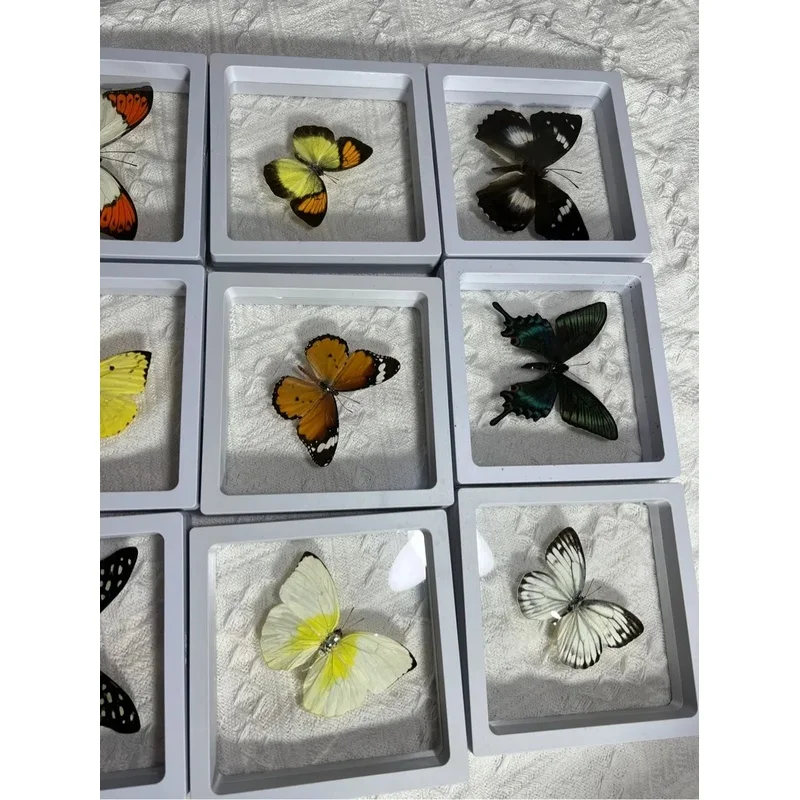 Random 5‑Pack Non‑Repeating Butterfly Mystery Set, DIY Craft Material, Photo Shooting Prop, Creative Collectible Gift