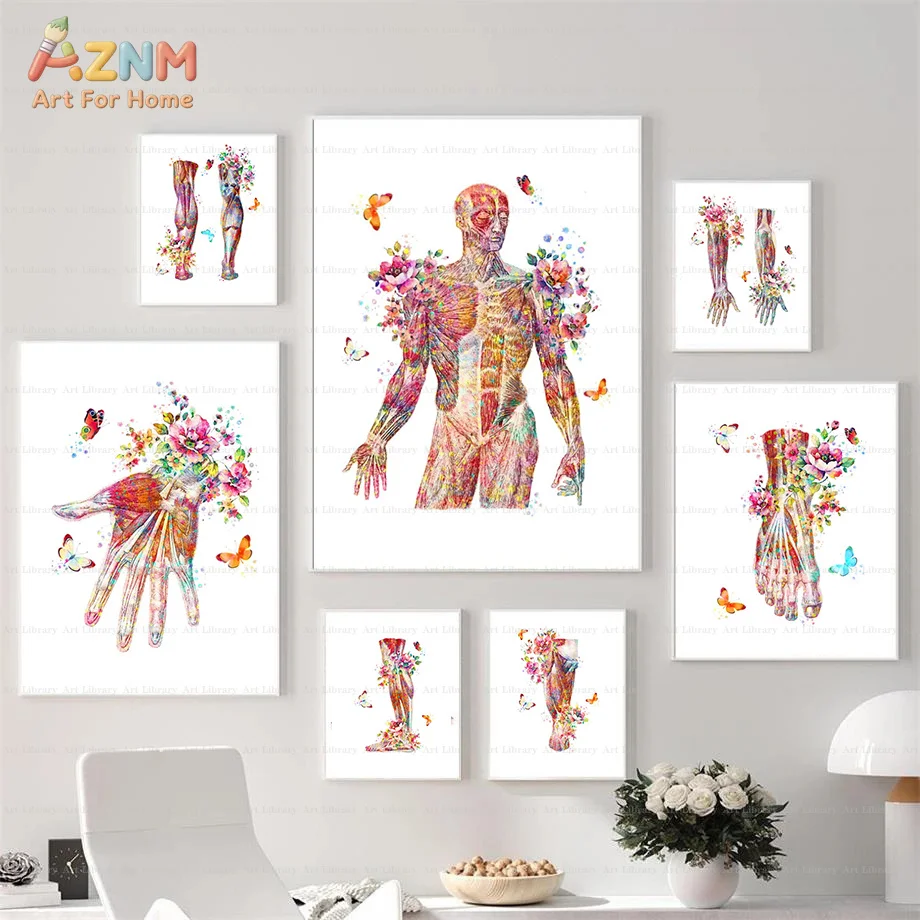 AZNM Frameless Canvas Poster Watercolor Human Muscle Anatomy Print, Floral Butterfly Body Structure Wall Art Picture for Medical