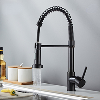 Stainless Steel Spring Pull-out Kitchen Faucet Household Dual-Mode Sink Vegetable Basin Hot and Cold Mixed Faucet Black