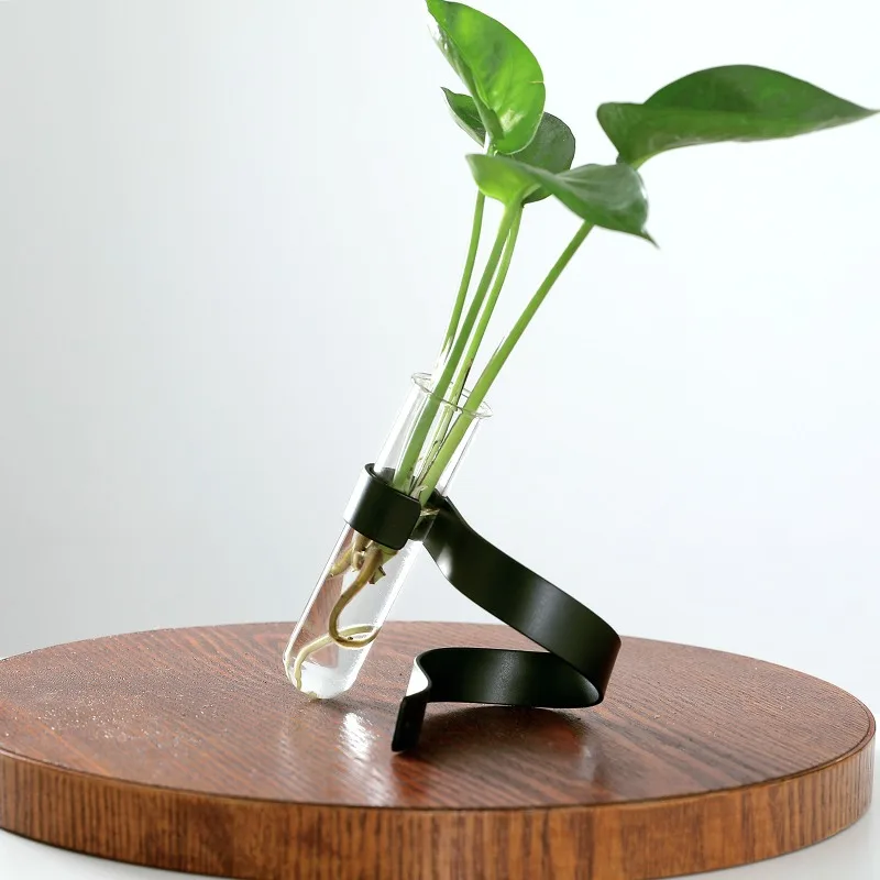 Hanging Desktop Decoration, Hydroponic Plant Glass Slanted Vase, Creative Iron Transparent Vase, Home Decoration