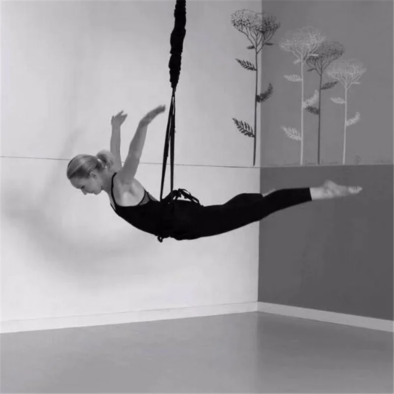 2026 Home Gym Fly Bungee Dance Cord Dancing With Bungee Cords Workout Bungee Fitness Kit