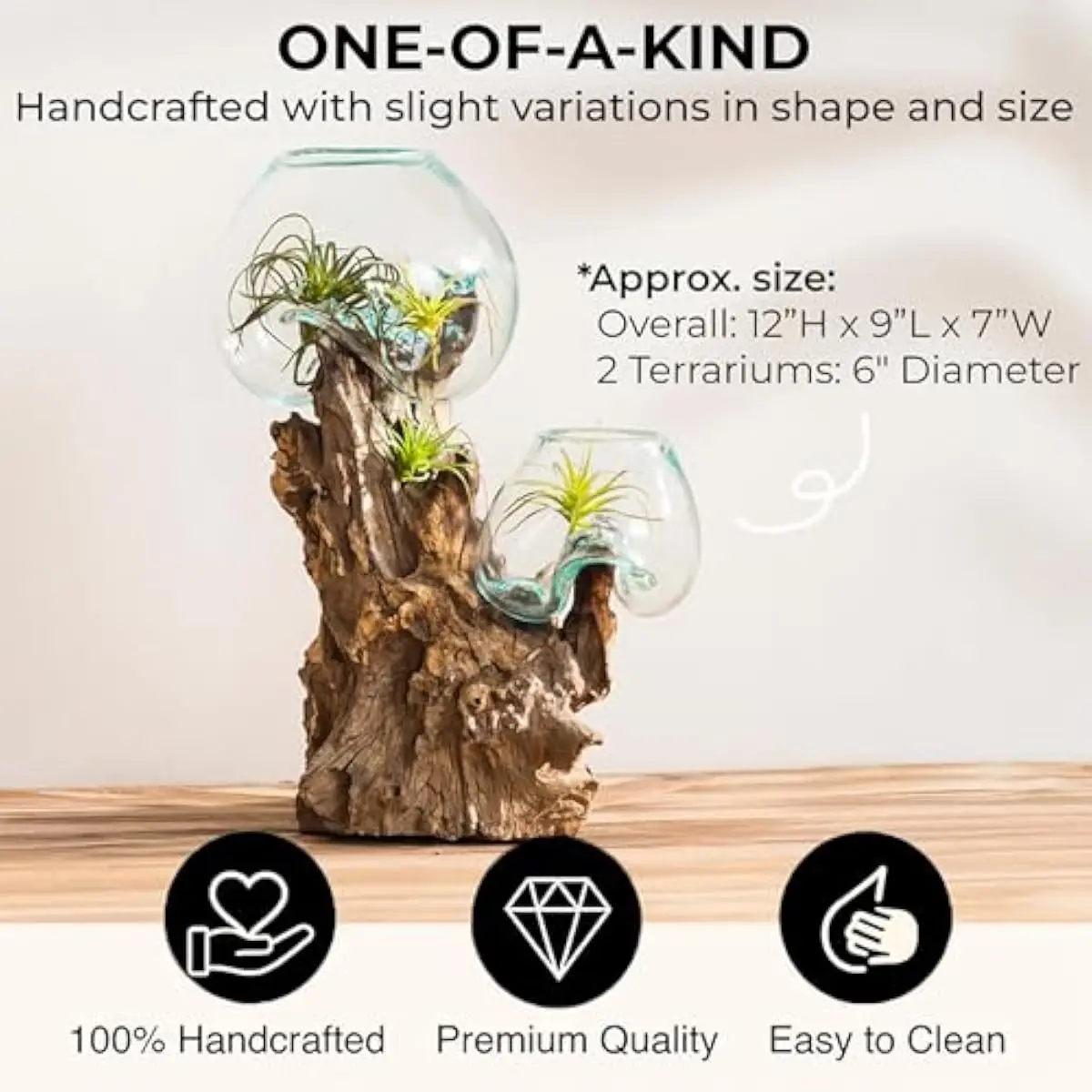 12-inch artisanal blue-tinted blown-glass terrarium mounted on organic teak driftwood base | portable indoor planter for succule