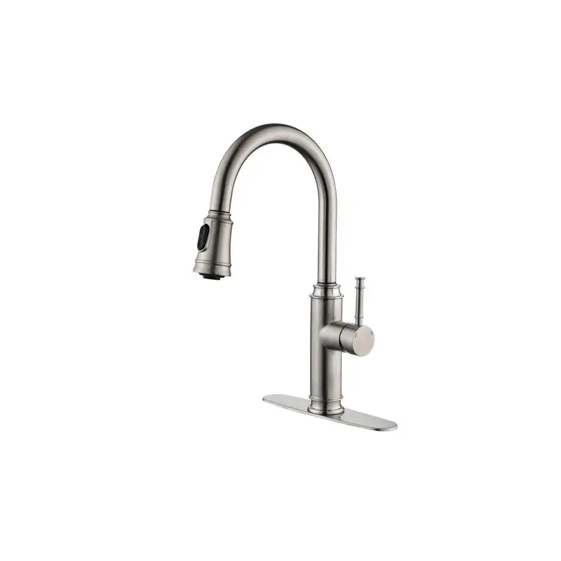 

High Arc Pull-Out Kitchen Faucet, Single Level Stainless Steel Sink Faucet with Pull-Down Sprayer for Easy Use and Enhanced
