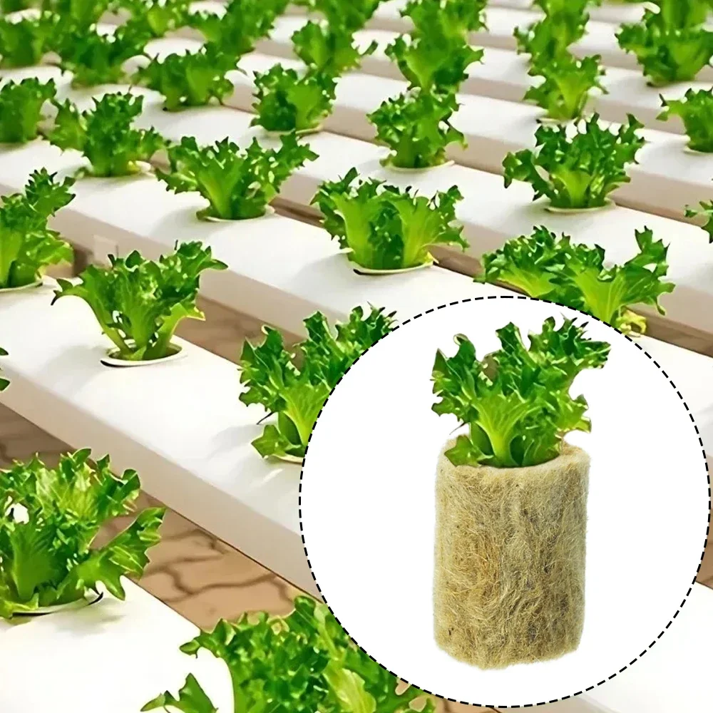 200/10PCS Planting Sponge Stone Wool Seedling Grow Plug Hydroponic Media Cubes Nursery Pot Cuttings Garden Propagation Supplies