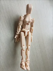20cm Female Body 3D Printed DUMMY13 Extended-size Multi-articulable Doll Gift Toys For Kids Adults Gifts Painting