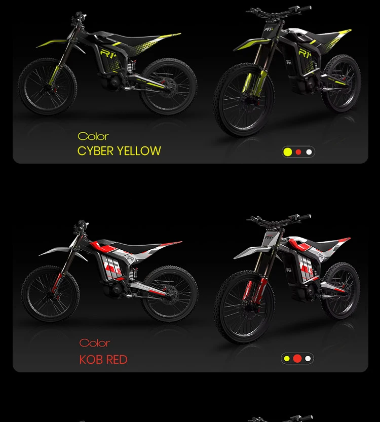 Rerode R1+ E-Motocross professionnel avec doubles freins hydrauliques