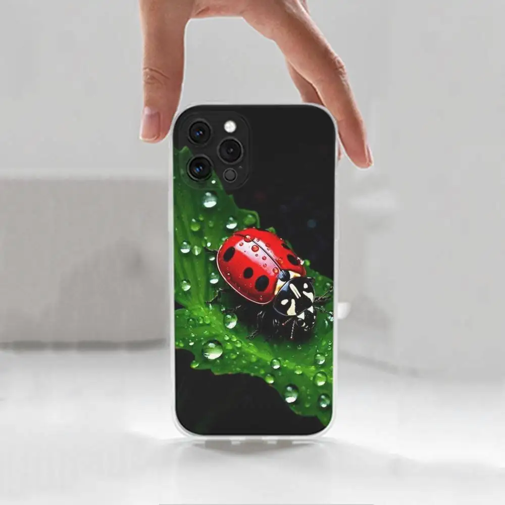 Funda de teléfono con forma de mariquita y insecto para iPhone 16,15,14,13,12,11 Plus,Pro,Max,XR,XS,X,7,8 Plus,SE,Mini, transparente, funda de silicona