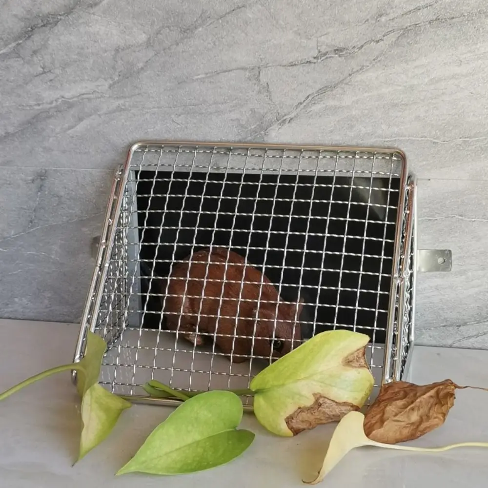 

Grid Design Rat-proof Drainage Net Anti-clogging Leaf-proofing Side Wall Floor Drain Stainless Steel Drain Quickly