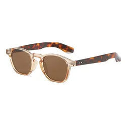 Gafas de sol cuadradas irregulares pequeñas para mujer y hombre, lentes de sol Retro, redondas, transparentes, con remaches, UV400