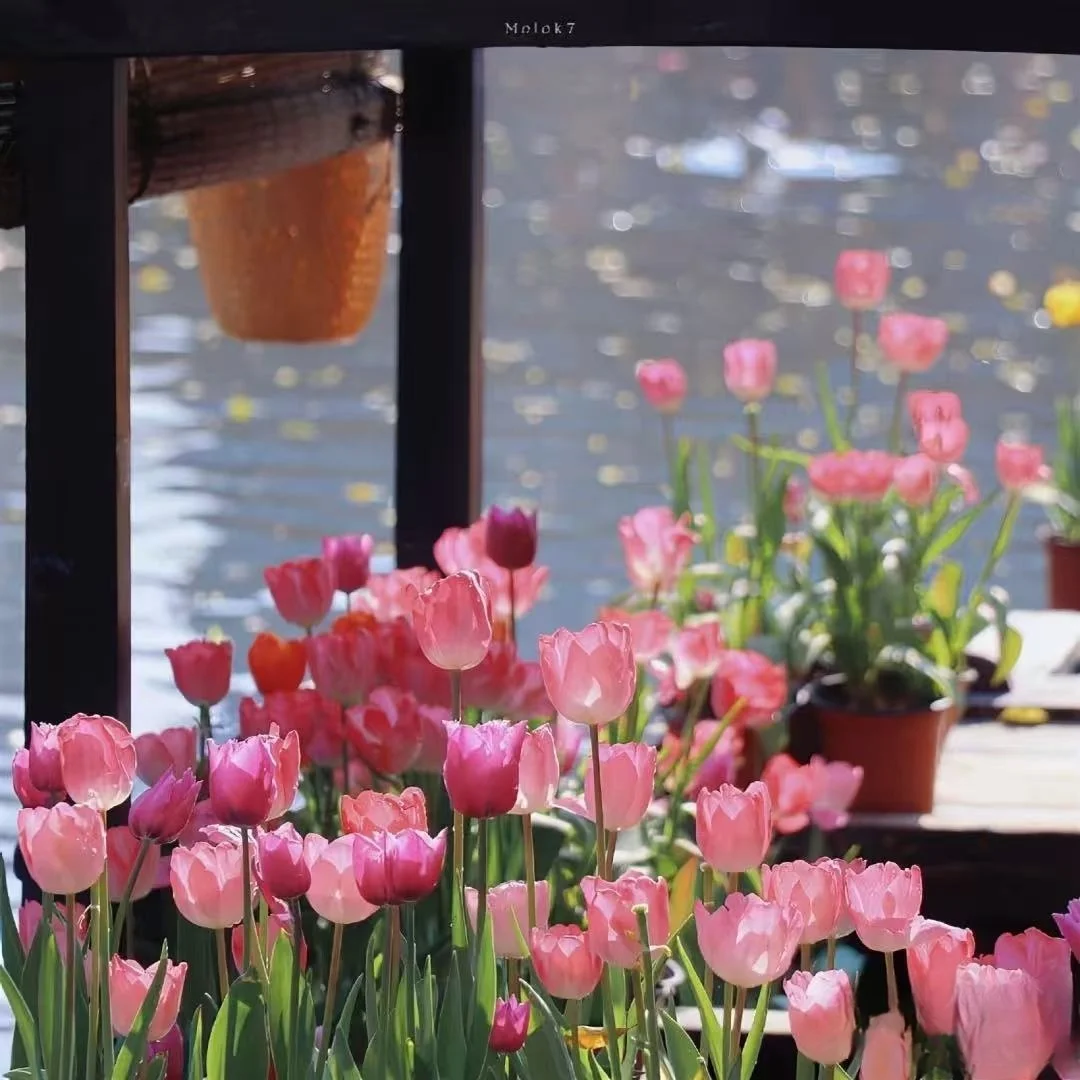 

Замена Ni-MH аккумулятора для Makita 9,6 В 3 Ач/4 Ач/5 Ач 9000 902 9033 6095D 6096D 6093D 6012HD DA391D 5090D 4390D 5090D