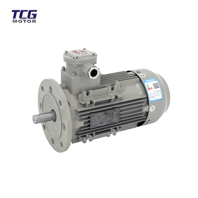 

CT4 Series High Efficiency Explosion Proof Motor Ac Electric Motor From 0.37--350kw 380/660v Copper Wire Factory Directly